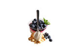 CHEESE CAKE WITH BLUEBERRIES BDS 200 g